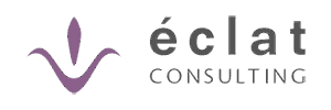 eclat consulting